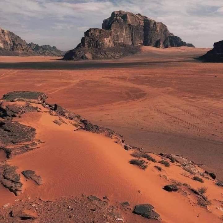 Wadi Rum Nature Экстерьер фото